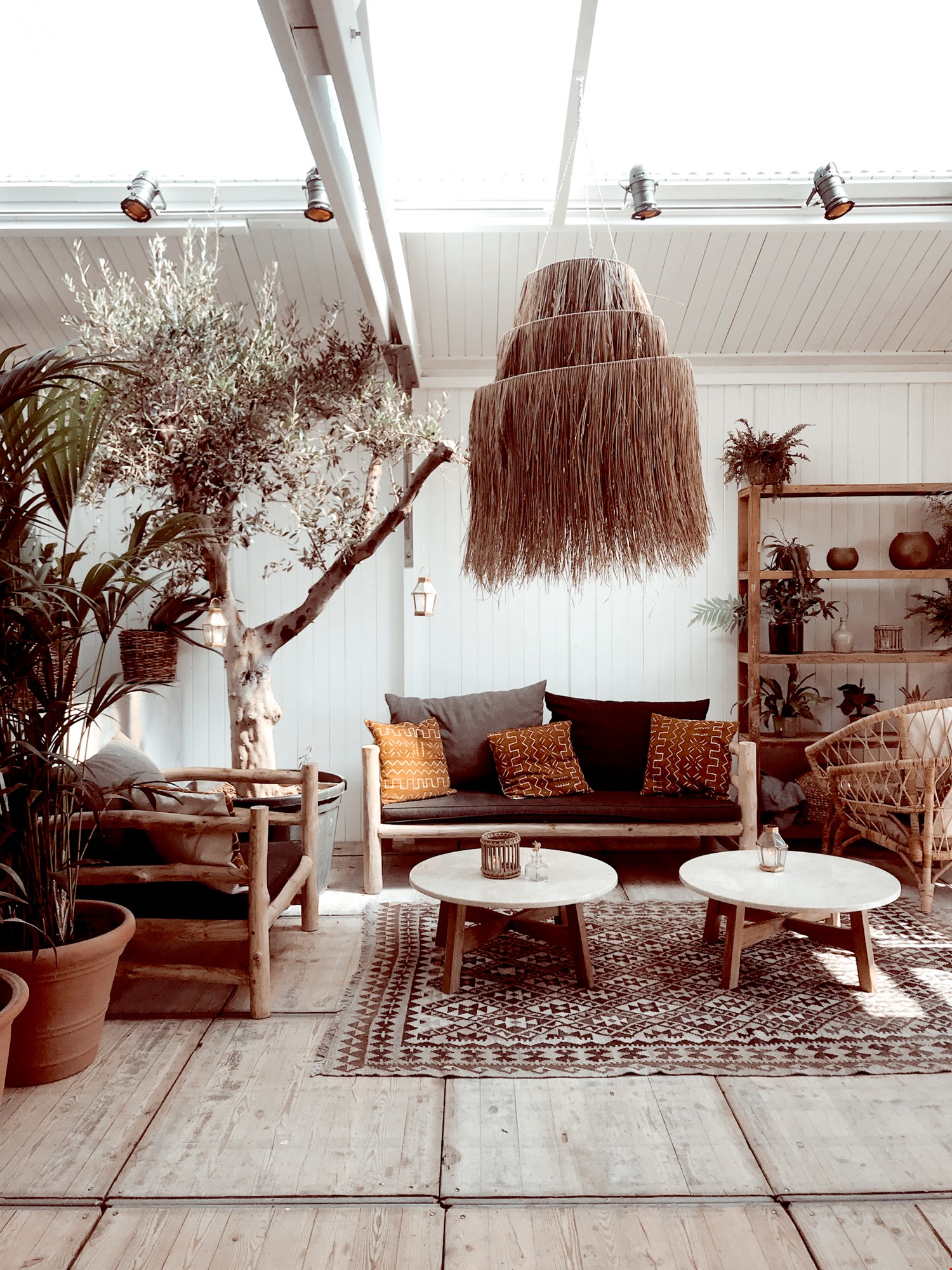 Hippie Fish Hippie Fish